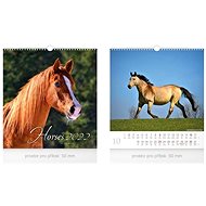 Little Horses - wall calendar 2022 - Wall Calendar