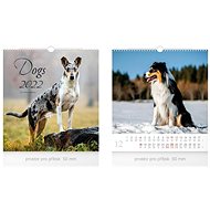 Little Dogs - wall calendar 2022 - Wall Calendar