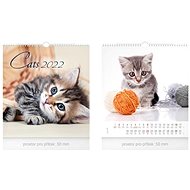 Little Cats - wall calendar 2022 - Wall Calendar