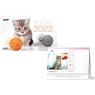 Cats - desk calendar 2022 - Desk Calendar
