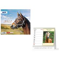 Mini Horses - desk calendar 2022 - Desk Calendar