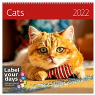 Calendar Cats - Wall Calendar