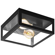 Eglo 99122 - Bathroom Ceiling Light AMEZOLA, 2xE27/40W/230V - Ceiling Light