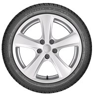 Goodyear ULTRAGRIP PERFORMANCE + 225/55 R17 97 H - Winter tyre