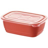 Rotho Microwaveable container Eco 1000 ml - Storage Jar