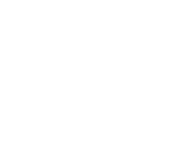 Elseve