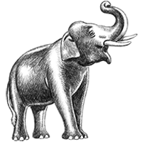 Ebenový slon