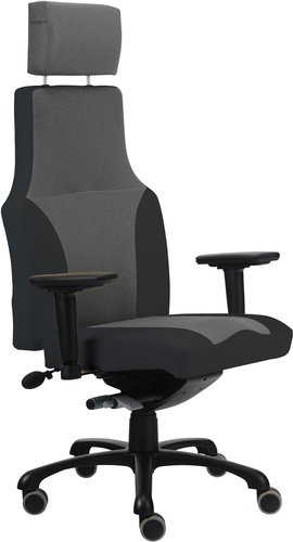 ALBA Ergo - Office Chair - Main image