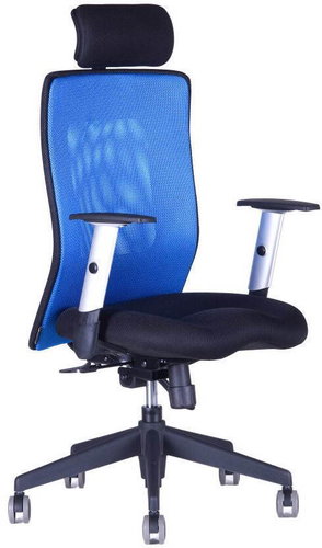 CALYPSO XL with adjustable headrest blue - Office Chair - Main image