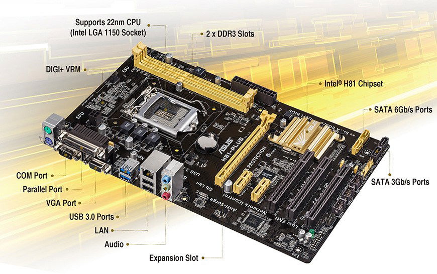 Asus h81ma store