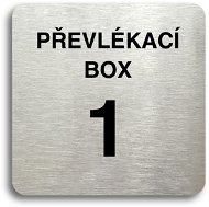 Accept Pictogram "Changing Box X" (80 × 80mm) (Silver Plate - Black Print without Frame) - Sign