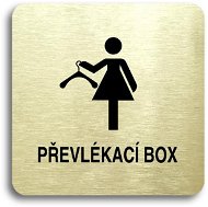 Accept Pictogram "Changing Box IV" (80 × 80mm) (Gold Plate - Black Print without Frame) - Sign