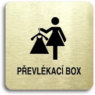Accept Pictogram "Changing Box V" (80 × 80mm) (Gold Plate - Black Print without Frame) - Sign