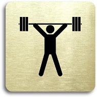 Accept Pictogram "fitness VI" (80 × 80 mm) (gold plate - black print without frame) - Sign