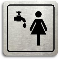 Accept Women's washroom pictogram (80 × 80 mm) (silver plate - black print) - Sign