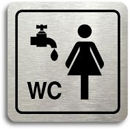 Accept Pictogram "washroom, women's toilet" (80 × 80 mm) (silver plate - black print) - Sign