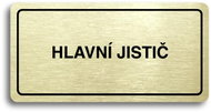 Accept Pictogram "MAIN DISPLAY" (160 × 80mm) (Gold Plate - Black Print) - Sign