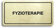 Accept Pictogram PHYSIOTHERAPY (160 × 80mm) (Gold Plate - Black Print) - Sign