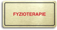 Accept Pictogram PHYSIOTHERAPY (160 × 80mm) (Gold Plate - Colour Print) - Sign