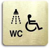 Accept Pictogram "Shower, Disabled Toilet" (80 × 80mm) (Gold Plate - Black Print without Frame) - Sign