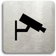 Accept Pictogram "Monitored II" (80 × 80mm) (Silver Plate - Black Print without Frame) - Sign
