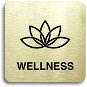 Accept Pictogram "Wellness II" (80 × 80mm) (Gold Plate - Black Print without Frame) - Sign