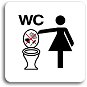 Accept Pictogram "No throwing objects into the toilet II" (80 × 80 mm) (white plate - colour print w - Sign