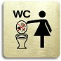 Accept Pictogram "No throwing objects into the toilet II" (80 × 80 mm) (golden plate - colour print  - Sign