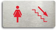 Accept Pictogram WC WOMEN RIGHT DOWN (160 × 80mm) (Silver Plate - Colour Print without Frame) - Sign