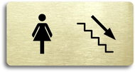 Accept Pictogram WOMEN'S TOILET RIGHT DOWN (160 × 80mm) (Gold Plate - Black Print without Frame) - Sign