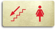 Accept Pictogram WOMEN'S TOILET LEFT DOWN (160 × 80mm) (Silver Plate - Colour Print without Frame) - Sign