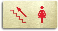 Accept Pictogram WOMEN'S TOILET LEFT TOP (160 × 80mm) (Gold Plate - Colour Print without Frame) - Sign