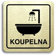 Accept Pictogram "Bathroom II" (80 × 80mm) (Gold Plate - Black Print) - Sign