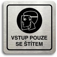Accept Pictogram Entry with Mask Only (80 × 80mm) (Silver Plate - Black Print) - Sign