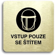 Accept Pictogram Entry Only with Shield IV (80 × 80mm) (Gold Plate - Black Print without Frame) - Sign