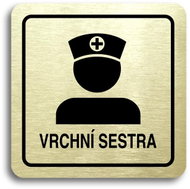Accept Pictogram Matron II (80 × 80mm) (Gold Plate - Black Print) - Sign