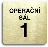 Accept Pictogram Operating Theatre 1 (80 × 80mm) (Gold Plate - Black Print without Frame) - Sign