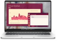Dell Pro 14 PC14250 Platinum - Laptop