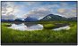 23.8" Dell P2422HE – Bez stojana - LCD monitor