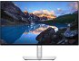23,8" Dell UltraSharp U2422H - LCD Monitor