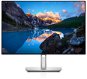 24" Dell UltraSharp U2421E - LCD Monitor