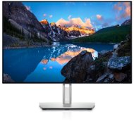24" Dell UltraSharp U2421E - LCD Monitor