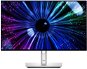 24" Dell UltraSharp U2424HE - LCD monitor