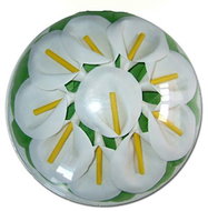 ADONIS Konfety do koupele kala 50 g - Bath Additives