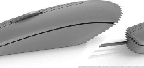 Dell MS 116 Grey - Mouse - Main image