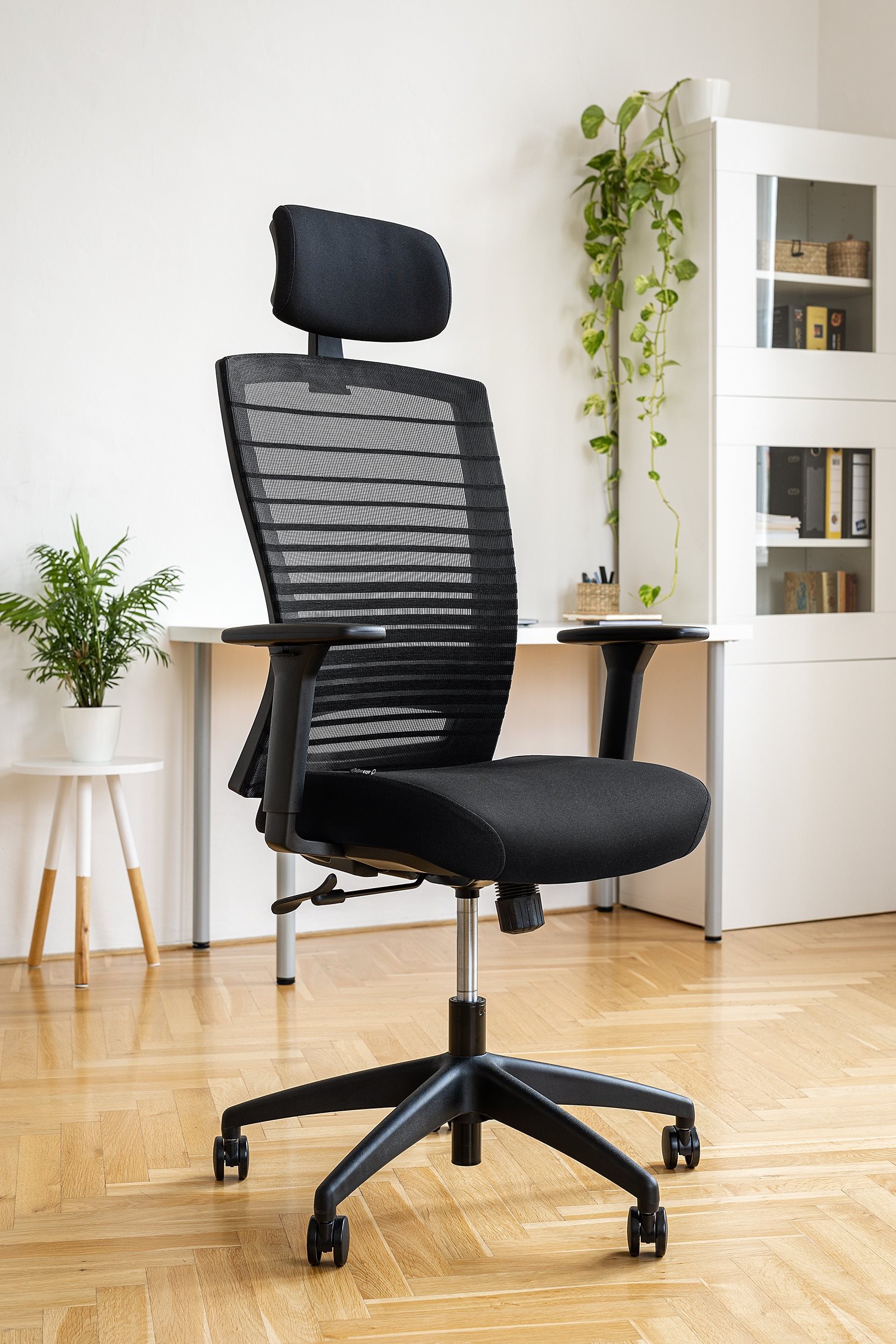 AEO0500-16.jpg