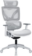 AlzaErgo Chair Delta 1 šedá - Kancelářská židle