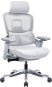 AlzaErgo Chair Abyss 2 sivá - Kancelárska stolička
