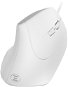 Eternico Wired Vertical Mouse MDV300, White - Mouse
