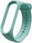Eternico Essential pro Mi Band 5 / 6 / 7 Mint Green - Watch Strap